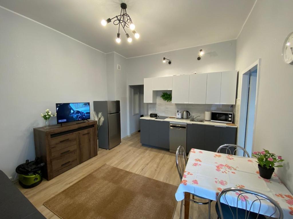 Apartment Blisko Manufaktury *